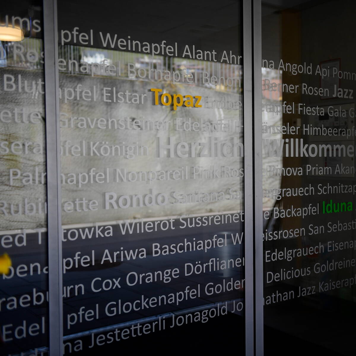 Glasedecor_BWO Glasedecor_BWO
