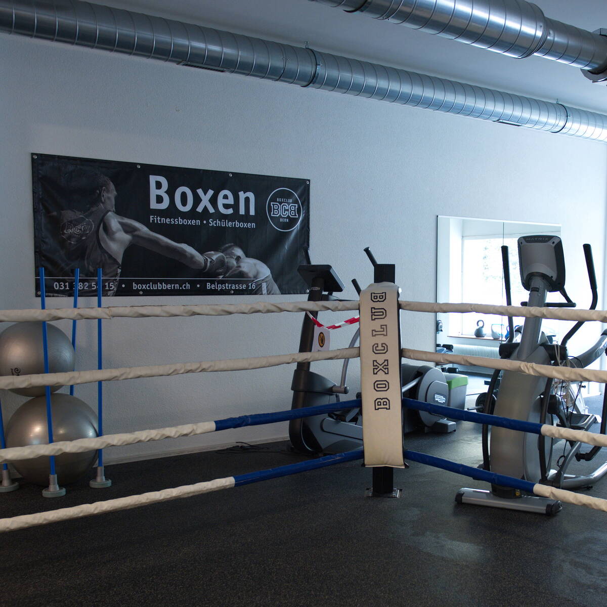 Banner_Ring_Boxclub_BCB Banner_Ring_Boxclub_BCB